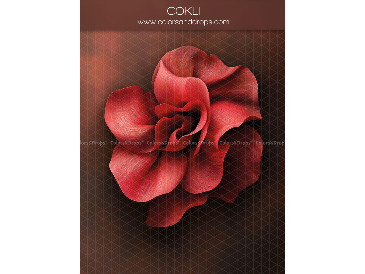 Fond photo grossesse et portrait Cokli – grande fleur rouge sur fond bordeaux | Colors&Drops
