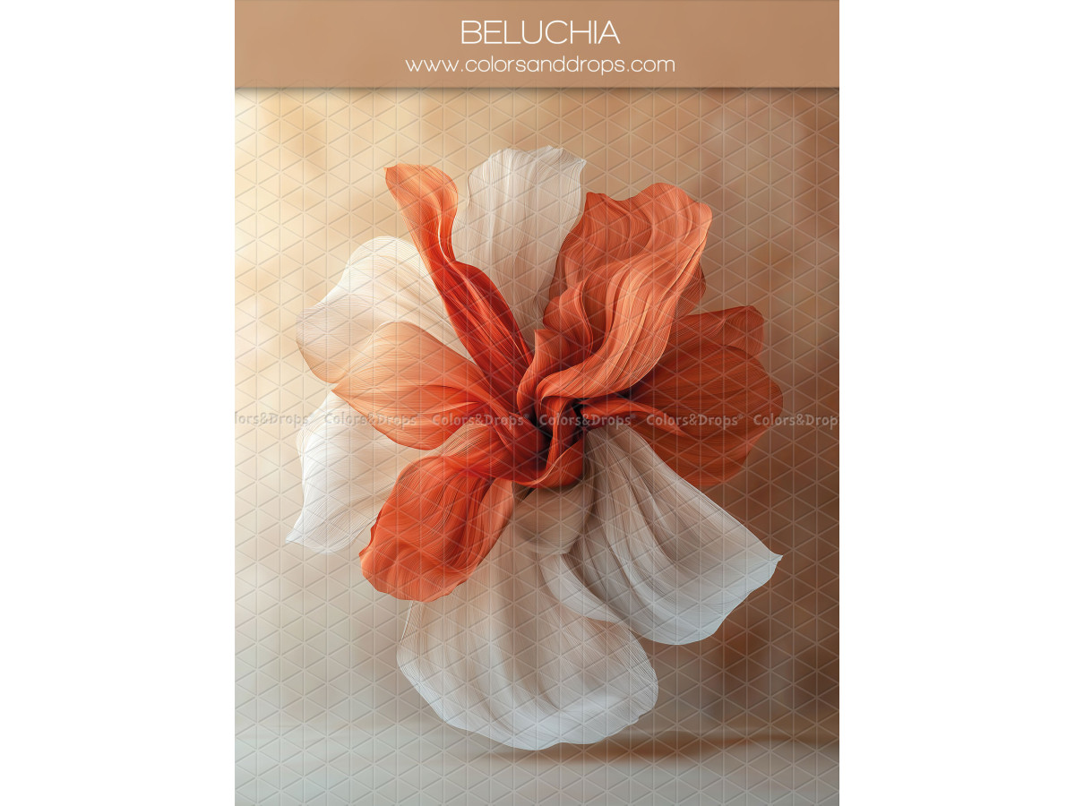 Fond photo grossesse et portrait Beluchia – grande fleur en tissu orange et blanc | Colors&Drops