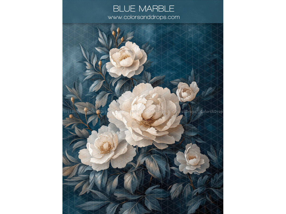 Fond photo grossesse et portrait Blue Marble – roses blanches et feuillage sur fond bleu | Colors&Drops