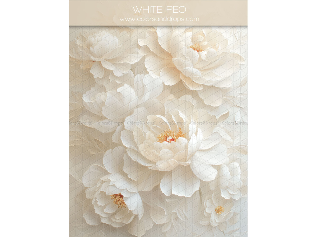 Maternity & portrait photo backdrop White Peo – white peonies in relief | Colors&Drops