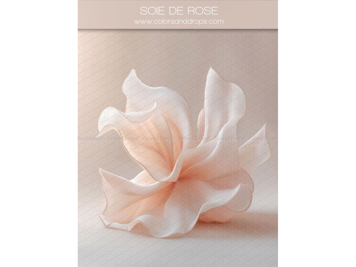 Fondo fotográfico de embarazo y retrato Soie de Rose – gran flor de tela rosa empolvado | Colors&Drops