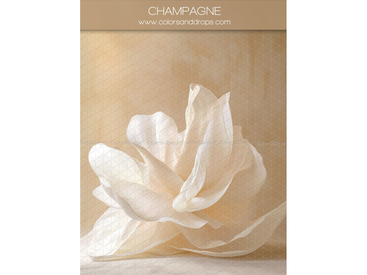 Maternity & portrait photo backdrop Champagne – champagne fabric flower | Colors&Drops