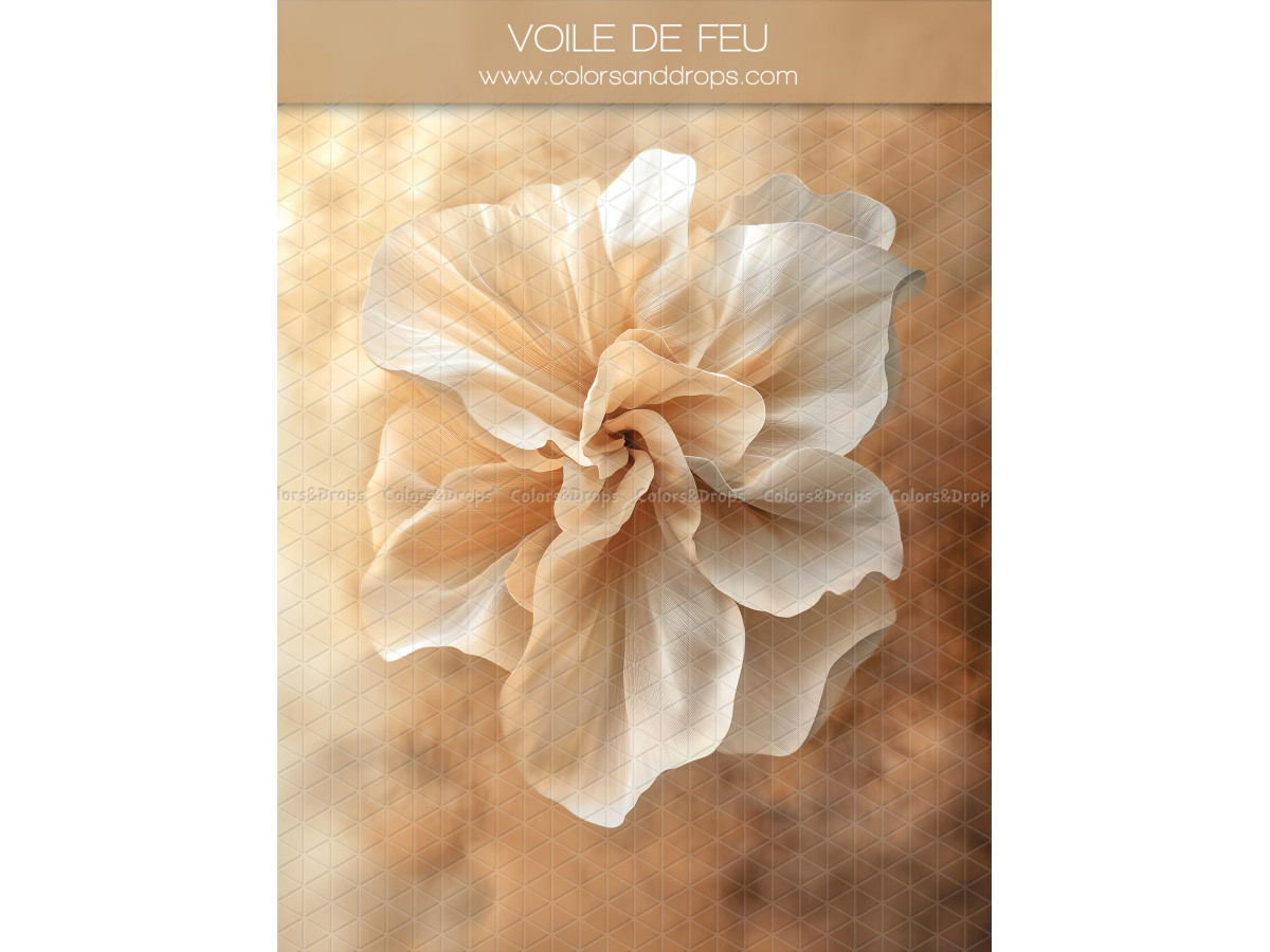 Maternity & portrait photo backdrop Voile de Feu – large peach fabric flower on brown background | Colors&Drops