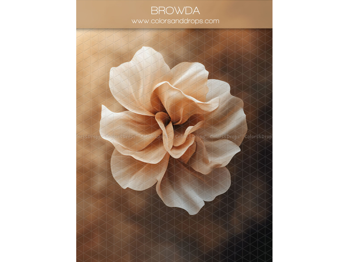 Maternity & portrait photo backdrop Browda – rosy beige fabric flower on dark brown background | Colors&Drops