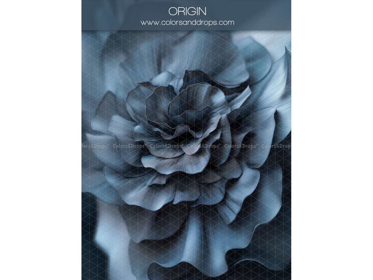 Fondo fotográfico de embarazo y retrato Origin – gran flor de tela gris azulado oscuro | Colors&Drops