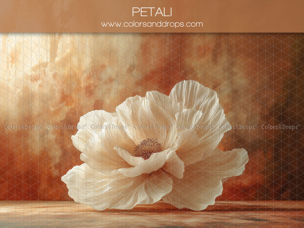 Fondo fotográfico de embarazo y retrato Petali – gran amapola crema sobre fondo óxido | Colors&Drops