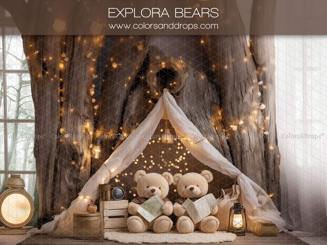 Fond photo bébé et smash cake Explora Bears