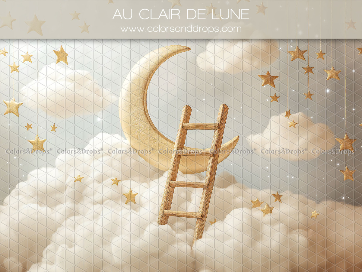 Baby & cake smash photo backdrop Au Clair de Lune – golden moon and ladder above the clouds | Colors&Drops