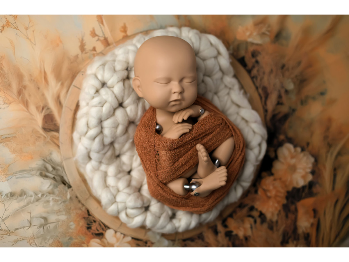 Newborn photo backdrop Dry Amber – wool nest surrounded by pampas and dried flowers | Colors&Drops