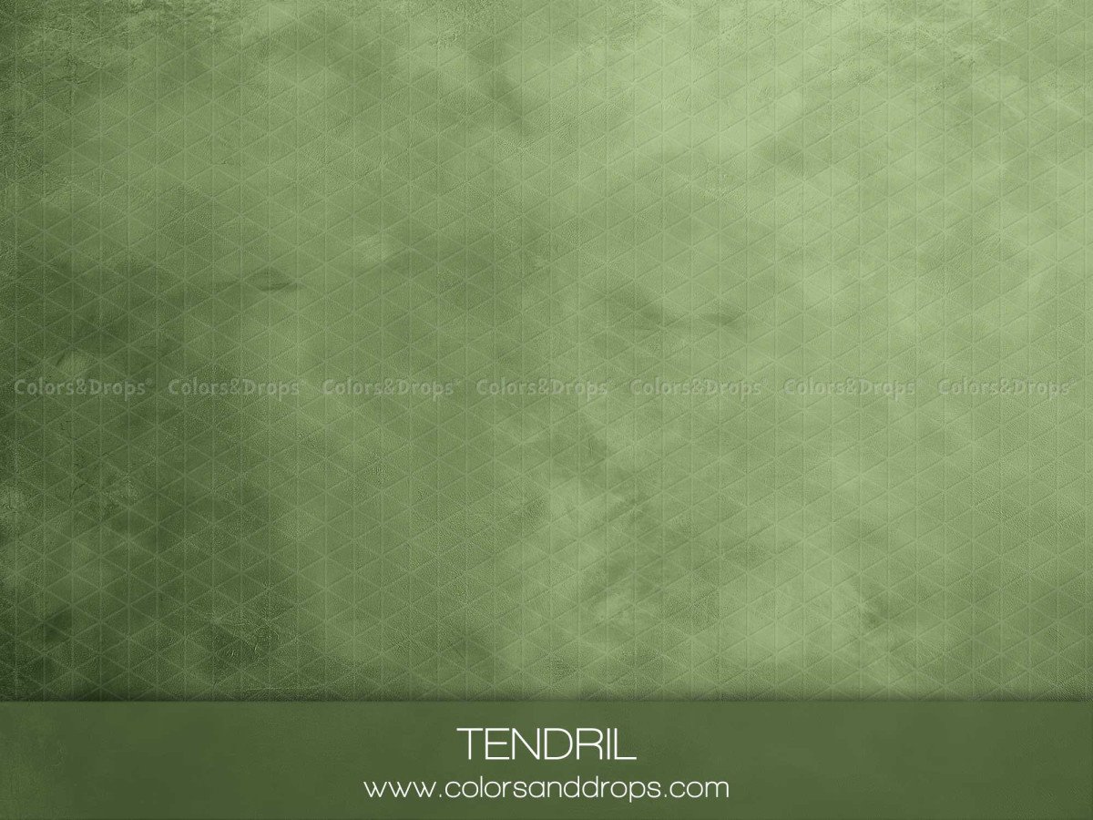Fondo y suelo fotográficos verde musgo texturizados Tendril – textura efecto pintura verde musgo | Colors&Drops