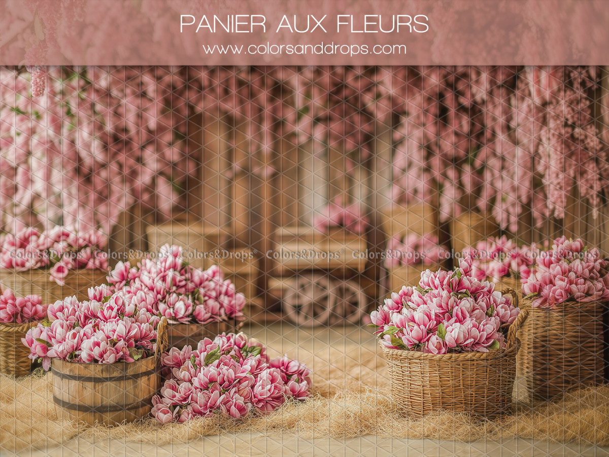 Photo backdrop Panier aux Fleurs – baskets of pink flowers with cart | Colors&Drops