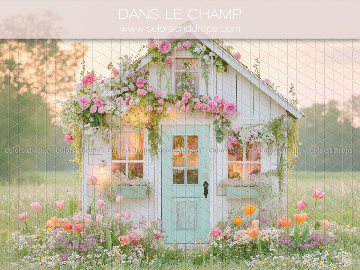 Fond photo bébé et smash cake Dans le Champ – cabane de jardin bleue fleurie dans un champ | Colors&Drops