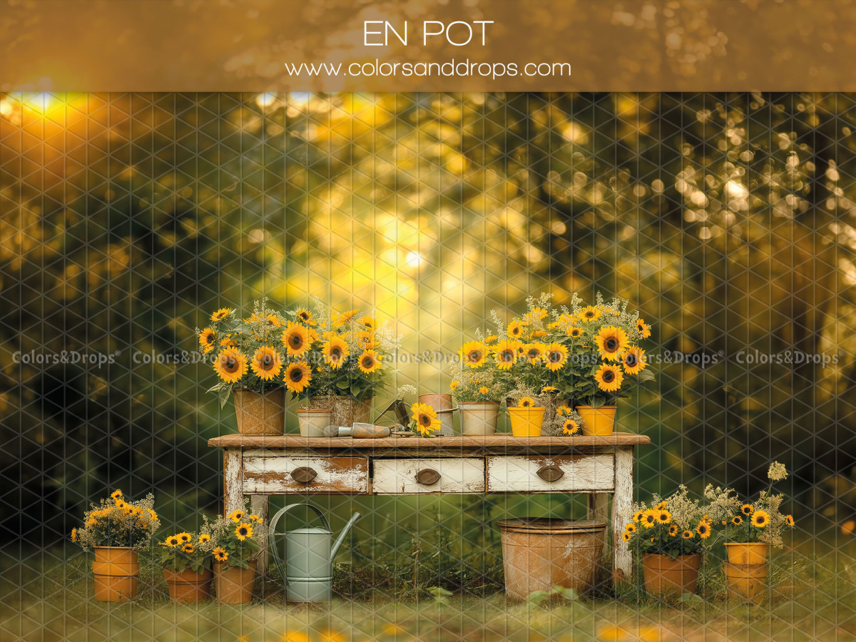 Floral photo backdrop En Pot – garden table with sunflower pots in the sun | Colors&Drops