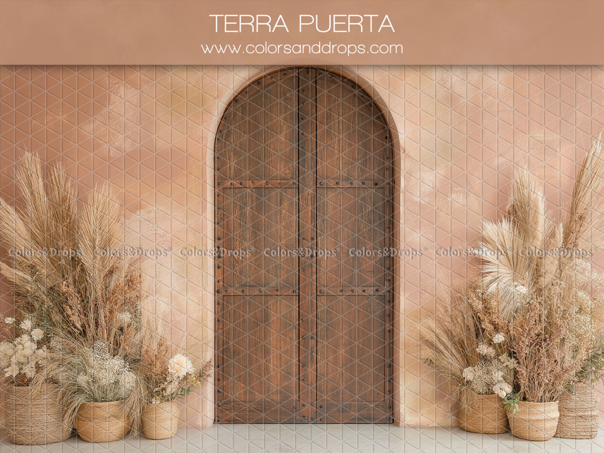 Fondo fotográfico boho Terra Puerta – puerta de madera arqueada con pampas sobre pared melocotón | Colors&Drops