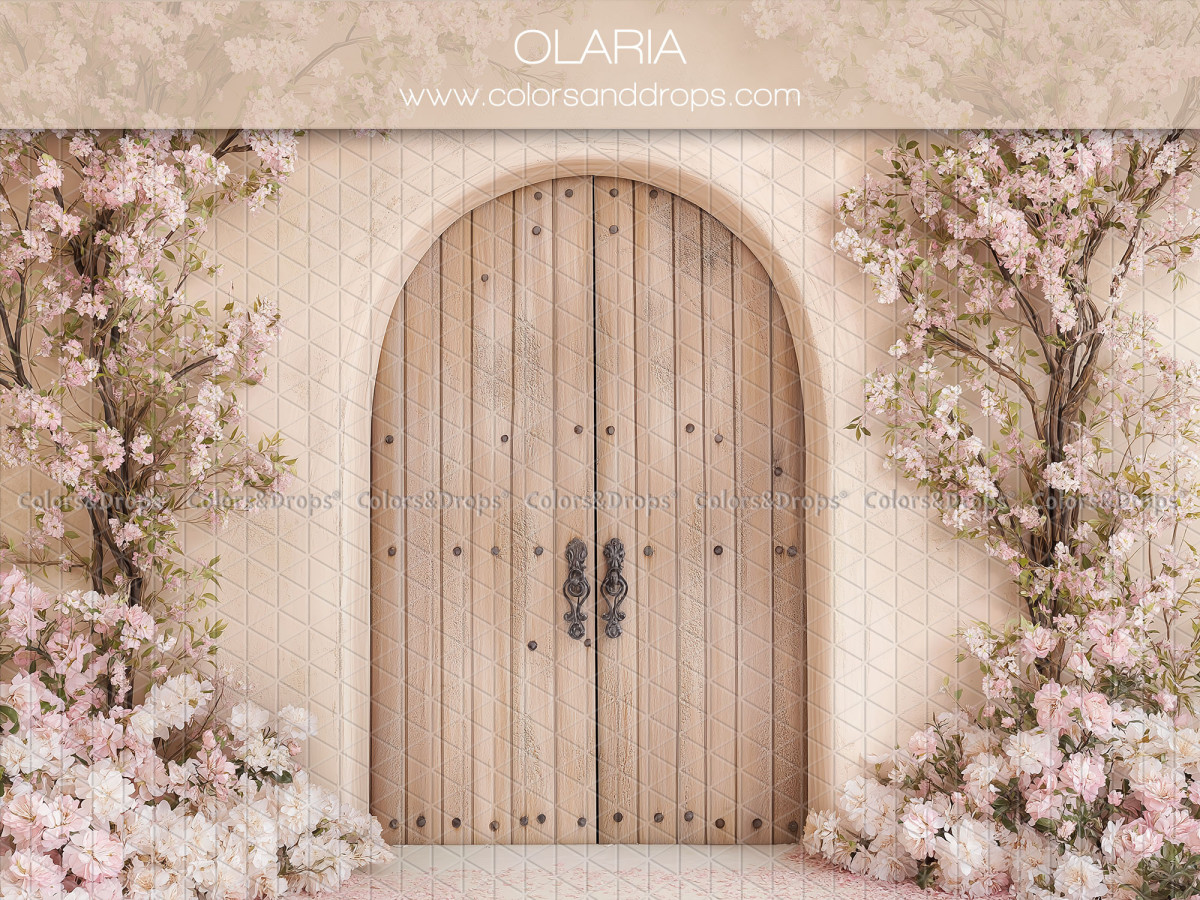 Fondo fotográfico floral Olaria – puerta de madera arqueada enmarcada con flores rosas | Colors&Drops