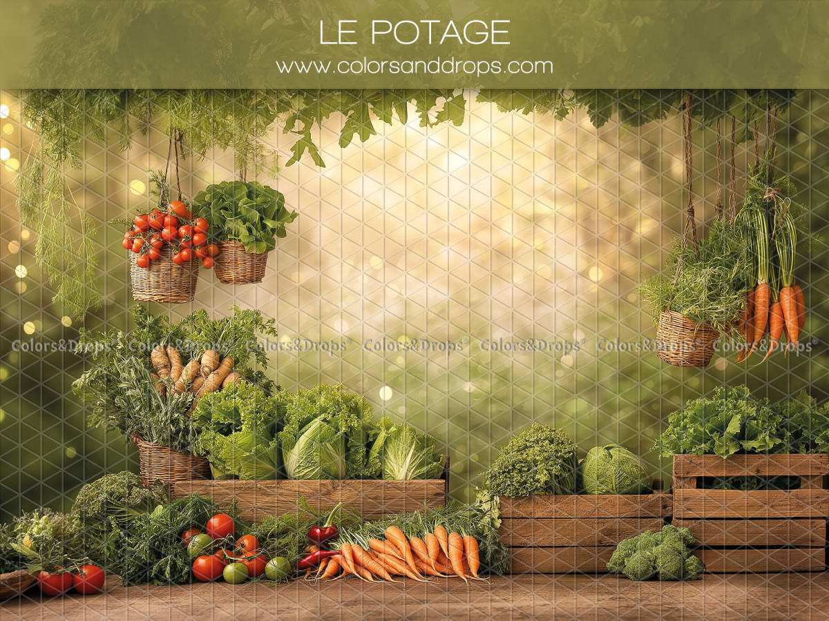Fond photo bébé et smash cake Le Potage – potager avec légumes, carottes et caisses | Colors&Drops