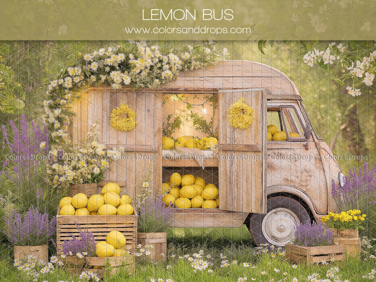 Baby & cake smash photo backdrop Lemon Bus – wooden van with lemons and lavender | Colors&Drops