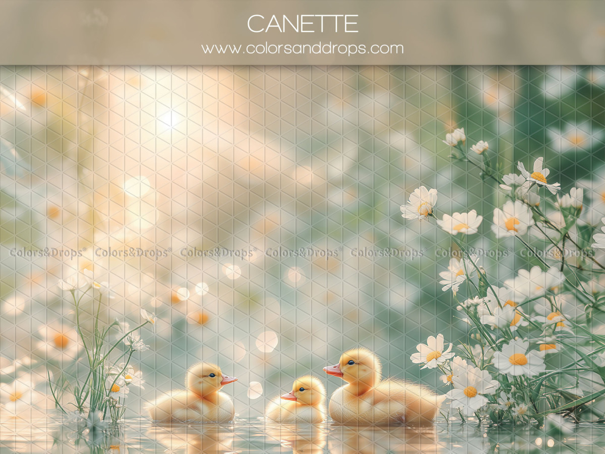 Fondo fotográfico de bebé y smash cake Canette – patitos en el agua con margaritas | Colors&Drops