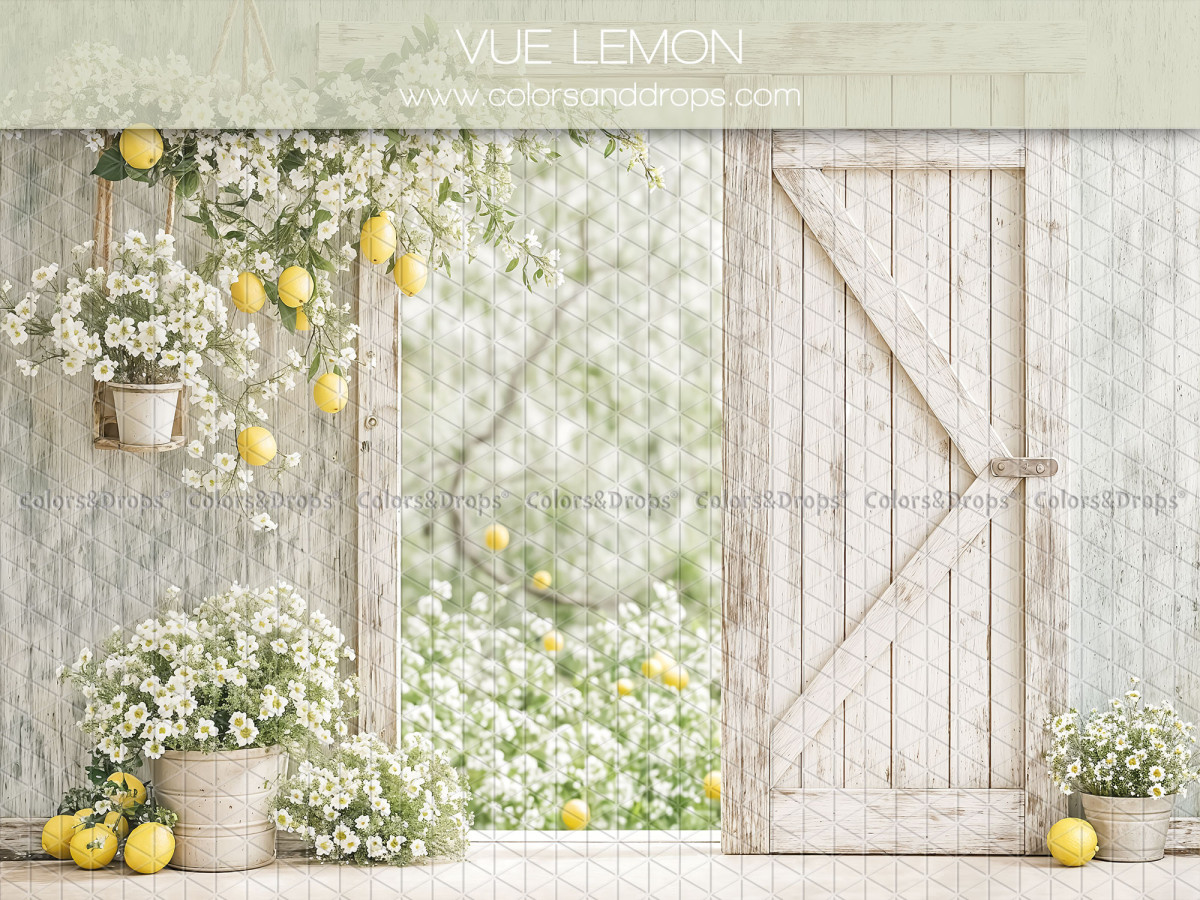 Baby & cake smash photo backdrop Vue Lemon – open white barn door with lemon tree | Colors&Drops