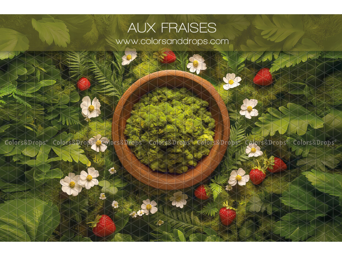 Newborn photo backdrop Aux Fraises – moss nest surrounded by strawberries and flowers | Colors&Drops
