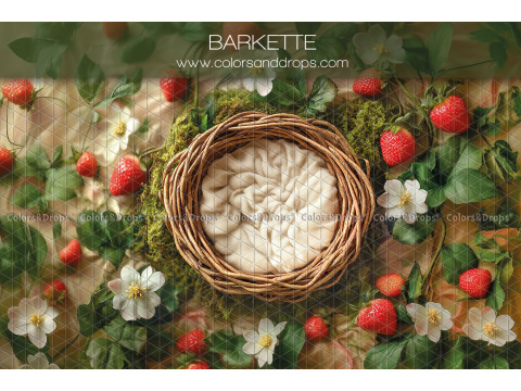 Fond photo nouveau-né Barkette – nid en osier avec fraises et fleurs blanches | Colors&Drops