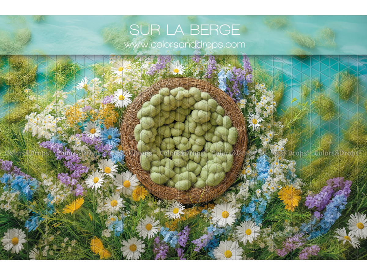 Fond photo nouveau-né Sur la Berge – nid en osier dans les fleurs sauvages au bord de l'eau | Colors&Drops