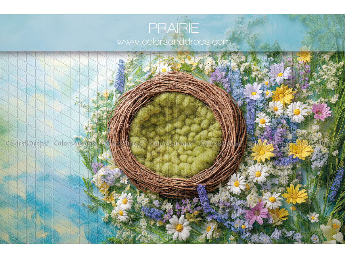 Newborn photo backdrop Prairie – wicker nest in a flowered meadow | Colors&Drops