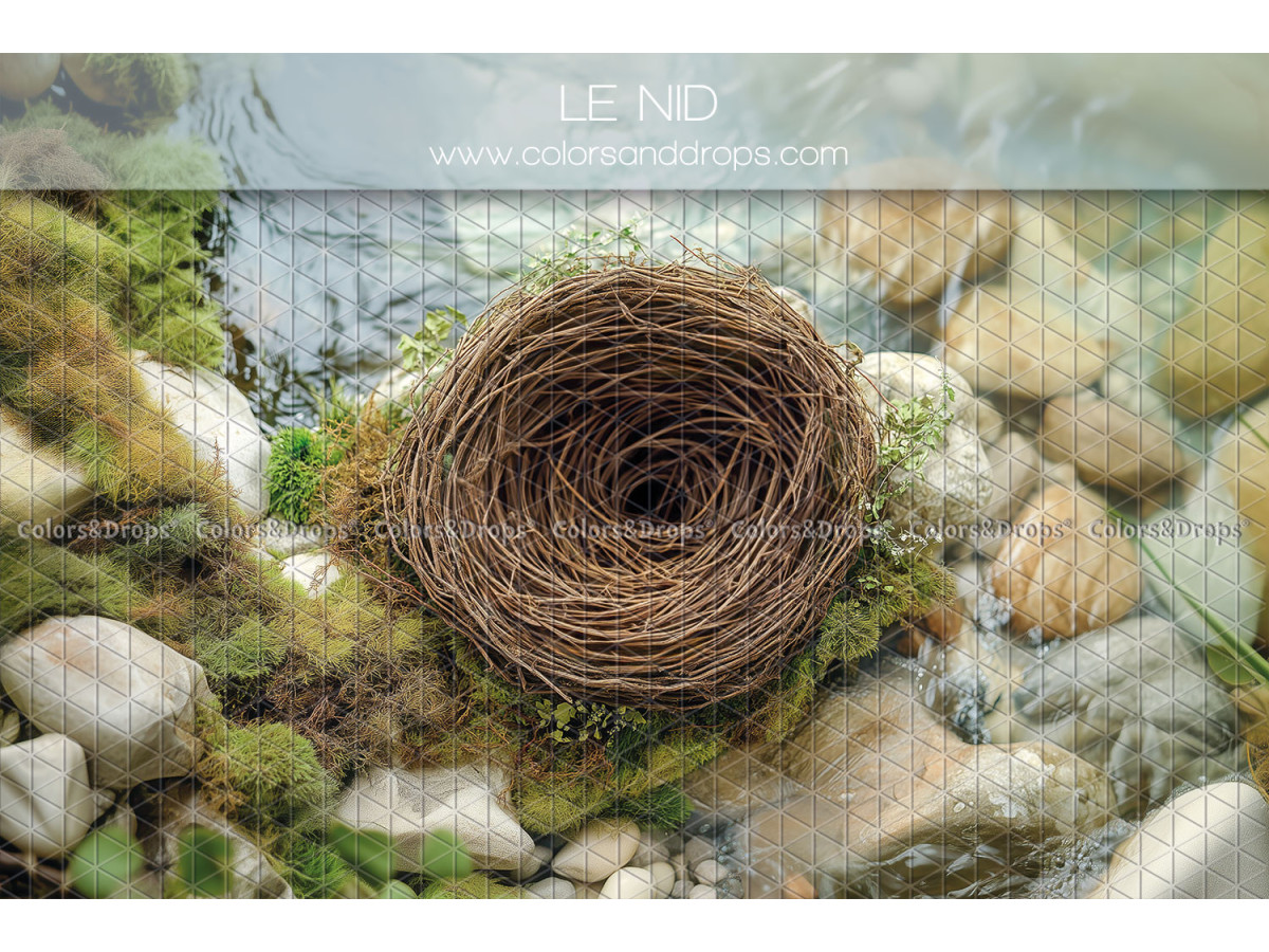 Newborn photo backdrop Le Nid – twig nest on pebbles and moss by the water | Colors&Drops
