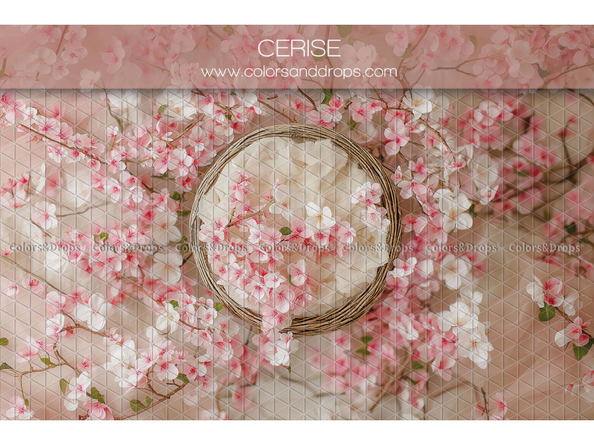 Newborn photo backdrop Cerise – wicker nest with pink cherry blossoms | Colors&Drops
