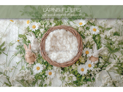 Fond photo nouveau-né Lapins Fleurs – nid en osier avec lapins et marguerites | Colors&Drops