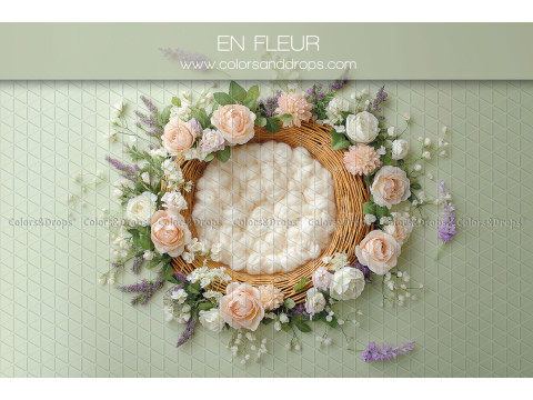Fond photo nouveau-né En Fleur – nid en osier avec couronne de roses pêche | Colors&Drops
