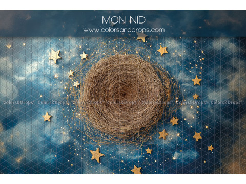 Fond photo nouveau-né Mon Nid – nid de brindilles sur ciel nocturne étoilé | Colors&Drops