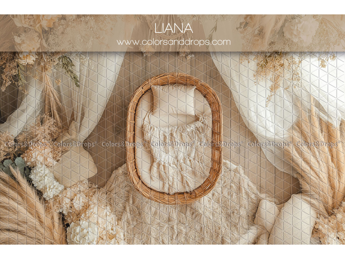 Newborn photo backdrop Liana – oval rattan basket with drapes and pampas | Colors&Drops