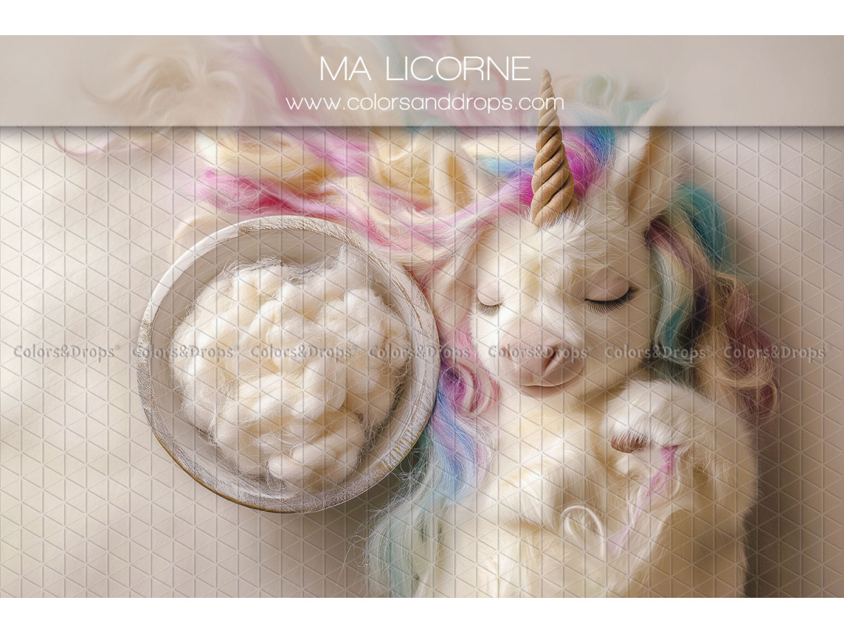 Fond photo nouveau-né Ma Licorne – bol avec laine et licorne en peluche | Colors&Drops