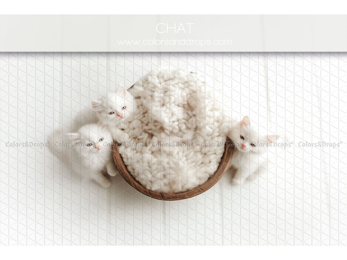Newborn photo backdrop Chat – wool nest with white kittens | Colors&Drops