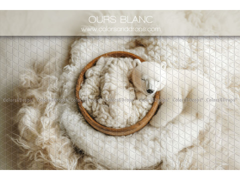 Fond photo nouveau-né Ours Blanc – nid en fourrure avec ours blanc en peluche | Colors&Drops