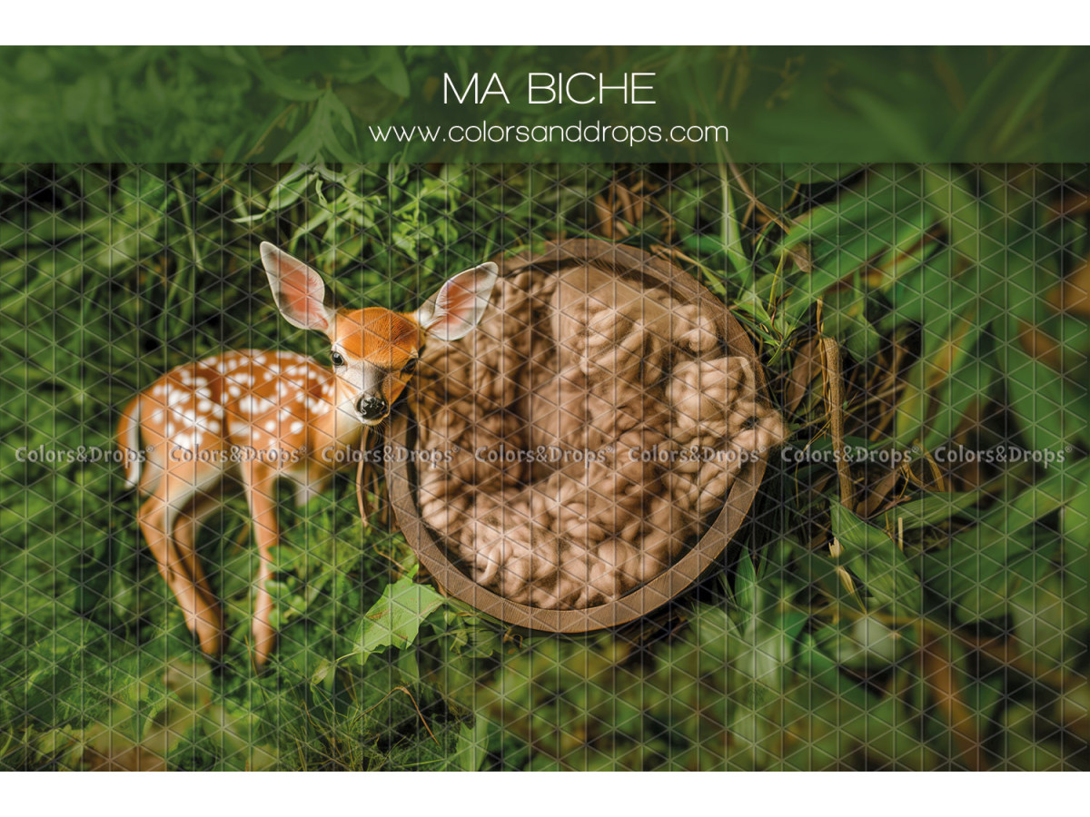 Fond photo nouveau-né Ma Biche – nid en bois avec faon dans l'herbe | Colors&Drops