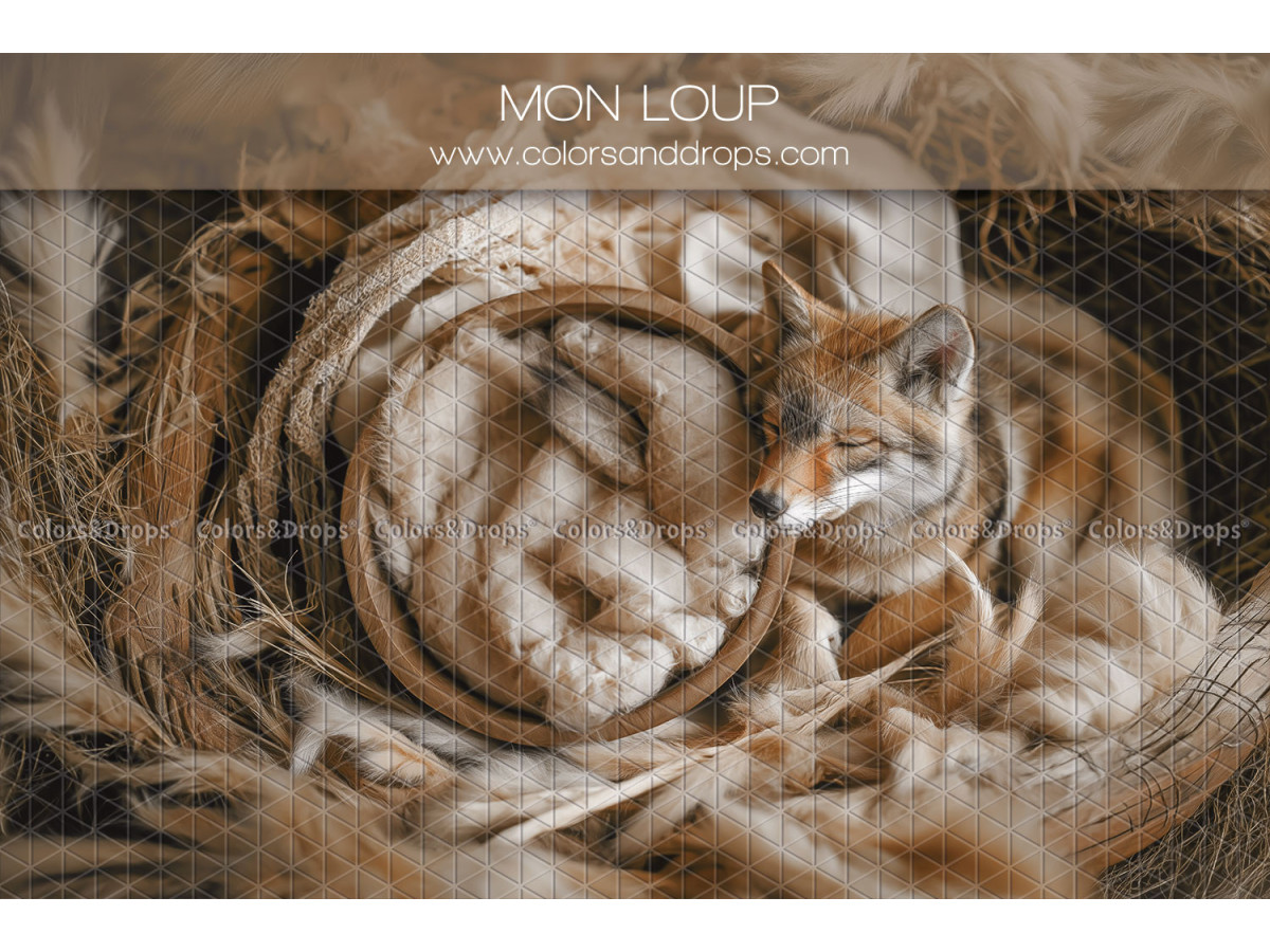 Fond photo nouveau-né Mon Loup – nid en fourrure avec loup en peluche | Colors&Drops