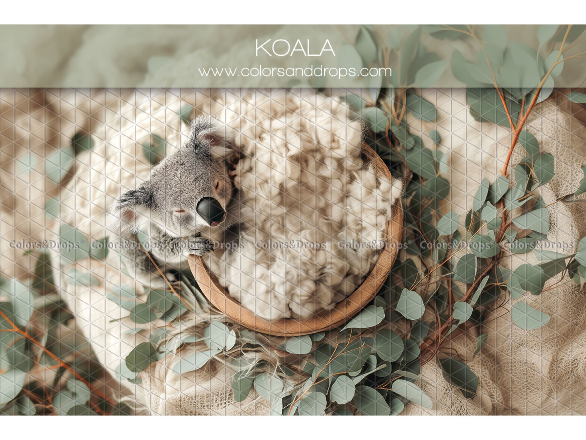 Newborn photo backdrop Koala – wool nest with koala and eucalyptus | Colors&Drops