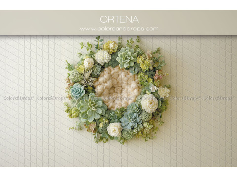 Fondo fotográfico de recién nacido Ortena – corona de suculentas y rosas blancas | Colors&Drops
