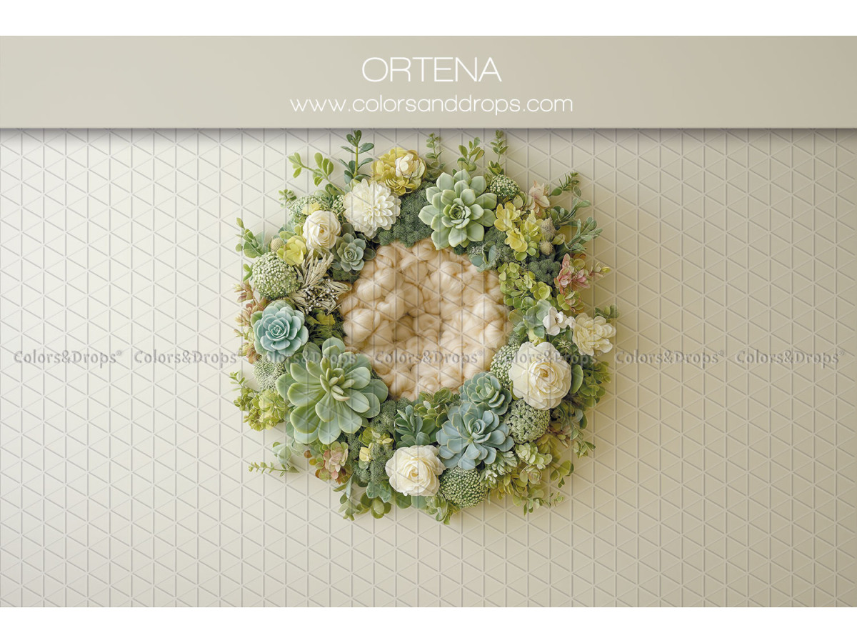 Newborn photo backdrop Ortena – wreath of succulents and white roses | Colors&Drops