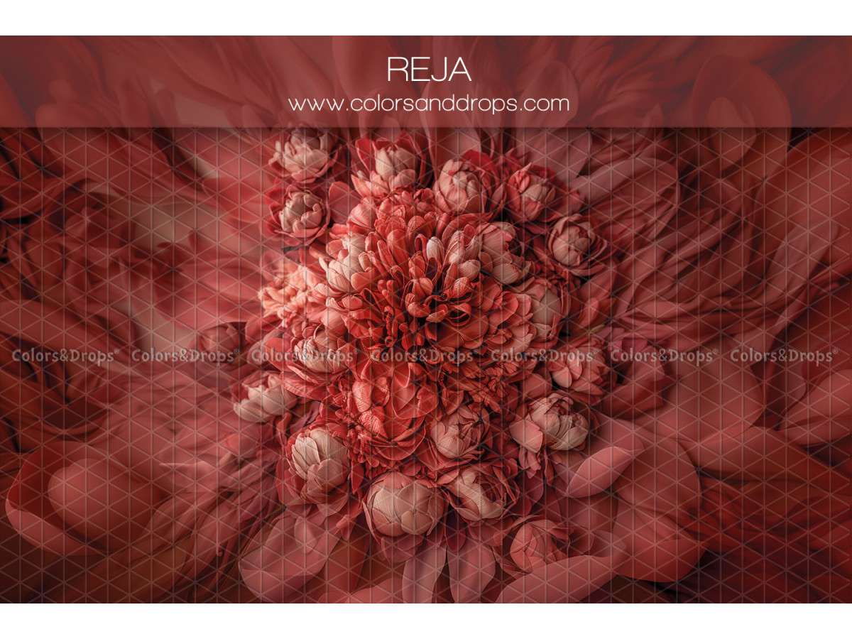 Fond photo nouveau-né Reja – grande fleur en relief rouge sur fond rouge | Colors&Drops