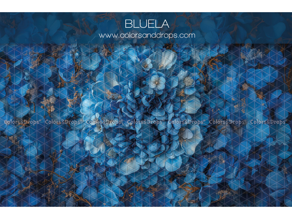 Newborn photo backdrop Blulea – blue relief flowers | Colors&Drops