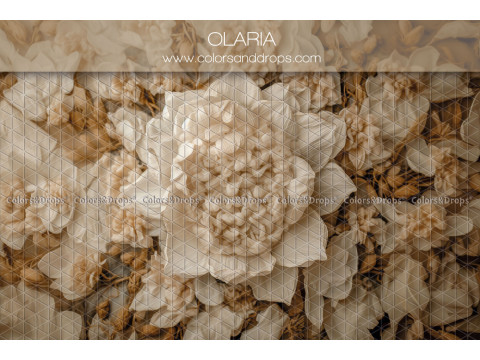 Fondo fotográfico de recién nacido Olaria – gran flor crema en relieve entre pétalos | Colors&Drops