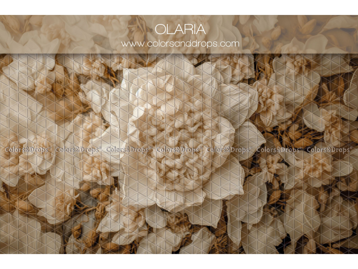 Fondo fotográfico de recién nacido Olaria – gran flor crema en relieve entre pétalos | Colors&Drops