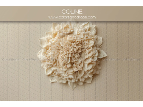 Newborn photo backdrop Coline – cream relief flower on beige background | Colors&Drops