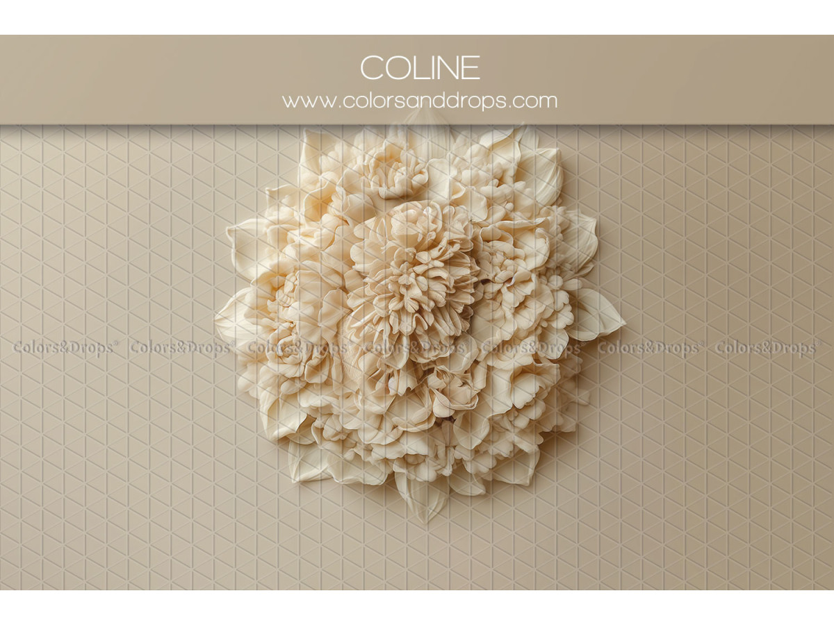 Fond photo nouveau-né Coline – fleur crème en relief sur fond beige | Colors&Drops