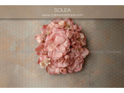 Fondo fotográfico de recién nacido Solea – ramo de flores rosas en relieve sobre fondo topo | Colors&Drops
