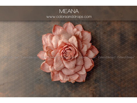Fondo fotográfico de recién nacido Meana – gran flor salmón en relieve sobre fondo marrón | Colors&Drops