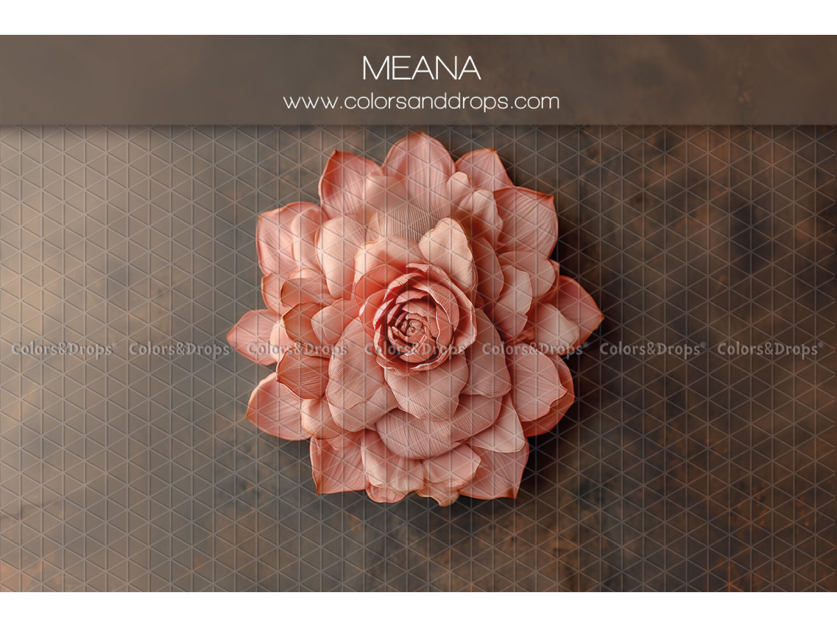 Newborn photo backdrop Meana – large salmon relief flower on brown background | Colors&Drops